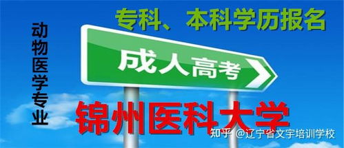 锦州医科大学成人高考临床医学本科报名 学费多少钱 专业介绍